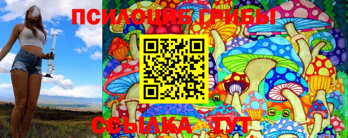 Галлюциногенные грибы Psilocybine cubensis Удомля