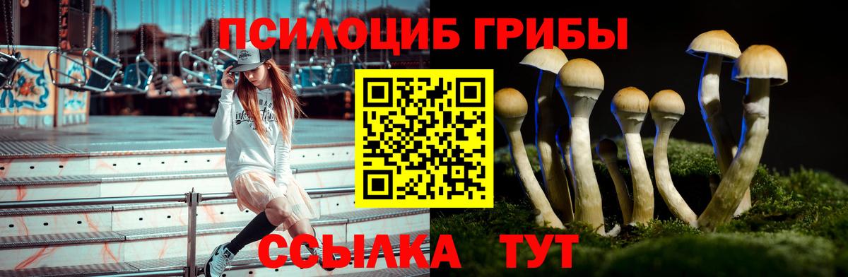 купить закладку  Псилоцибиновые грибы мухоморы  Вход с VPN  Удомля 